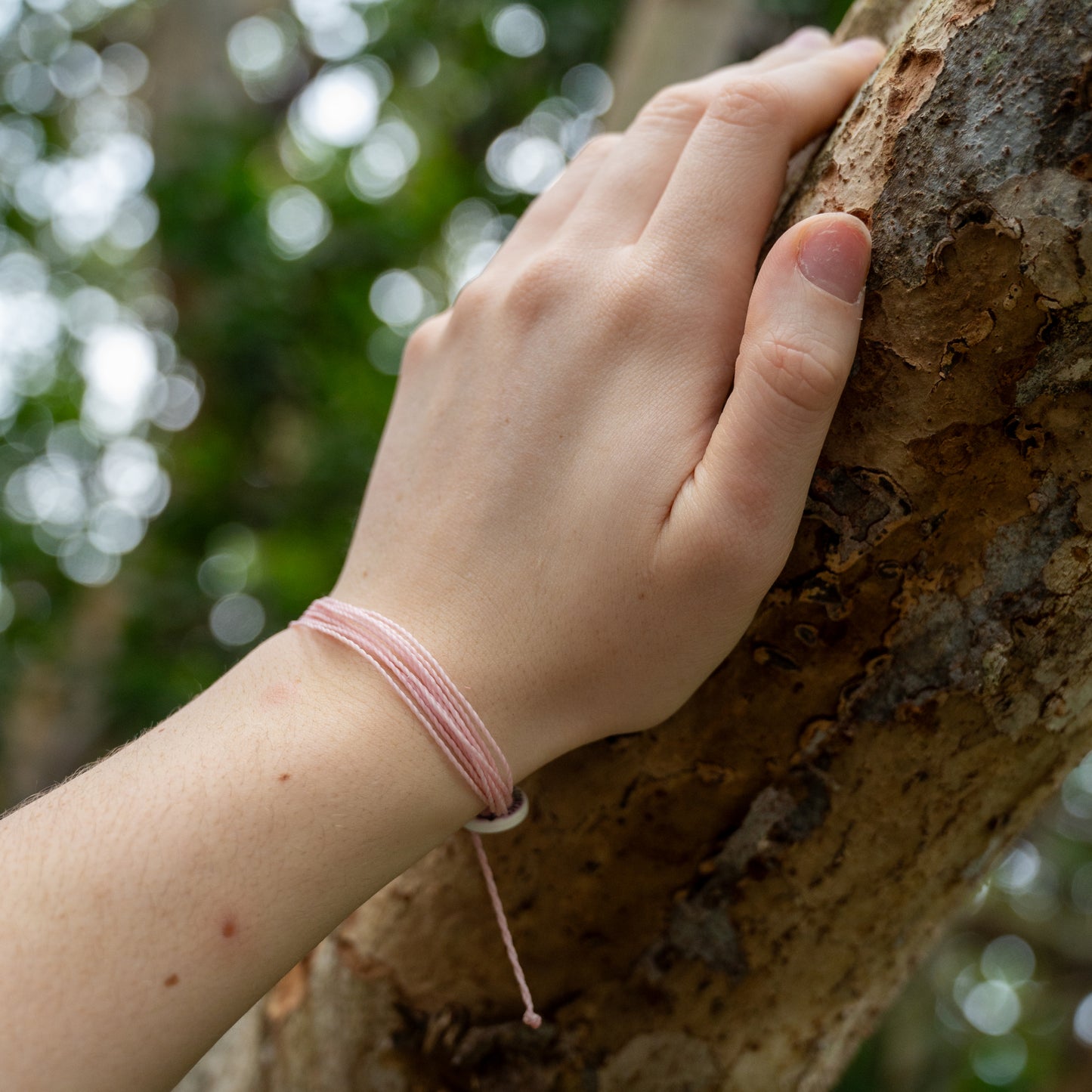 Classic Pastel Pink
